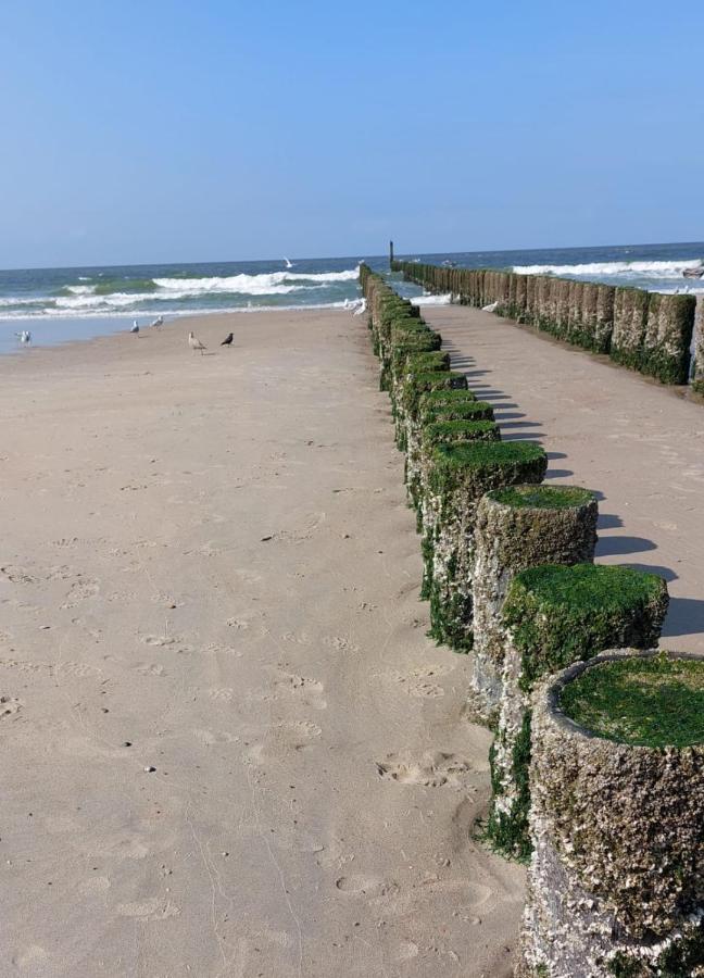 De Notenbalk Aan Zee Bed & Breakfast Vlissingen Dış mekan fotoğraf