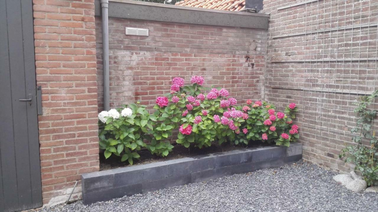De Notenbalk Aan Zee Bed & Breakfast Vlissingen Dış mekan fotoğraf
